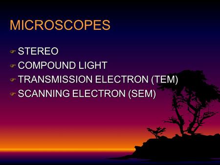 MICROSCOPES F STEREO F COMPOUND LIGHT F TRANSMISSION ELECTRON (TEM) F SCANNING ELECTRON (SEM)
