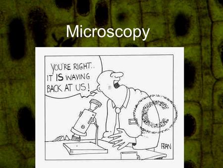 Microscopy. What is a microscope? A scientific tool that helps scientists see things that cannot normally be seen with the “naked” eye.