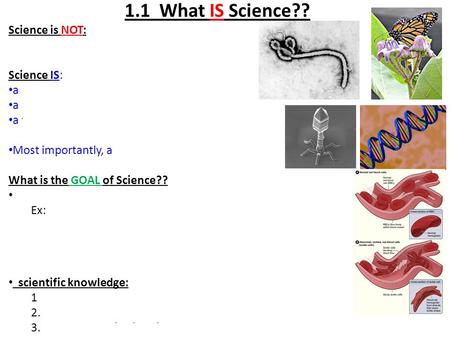 1.1 What IS Science?? Science is NOT: a static, unchanging group of facts or beliefs. Science IS: a process of inquiry about how nature works. a body of.