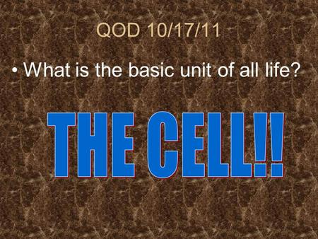 What is the basic unit of all life?