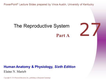 The Reproductive System Part A