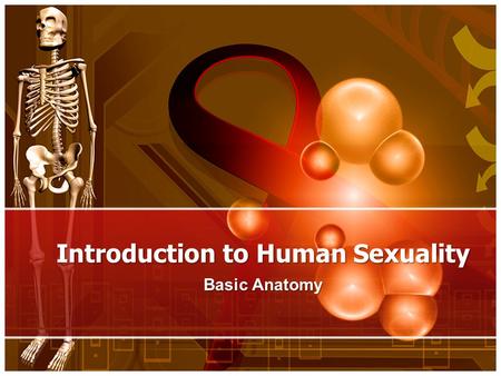 Introduction to Human Sexuality