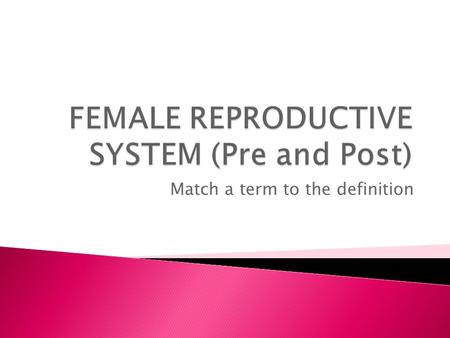 FEMALE REPRODUCTIVE SYSTEM (Pre and Post)