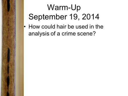 Warm-Up September 19, 2014 How could hair be used in the analysis of a crime scene?