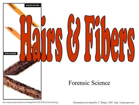 Forensic Science  Presentation developed by T. Trimpe 2006