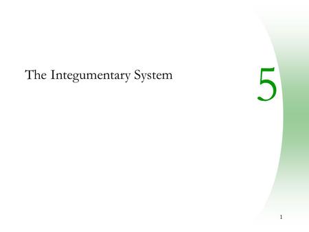 1 5 The Integumentary System. 2 Skin (Integument)  Consists of three major regions  Epidermis – outermost superficial region  Dermis – middle region.