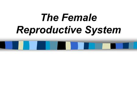 The Female Reproductive System. The Ovum Ovum = The female repro. cell. Plural = Ova.