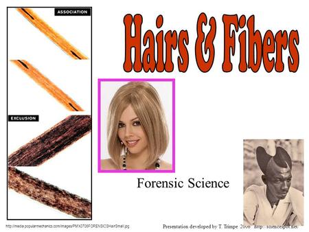 Hairs & Fibers Forensic Science
