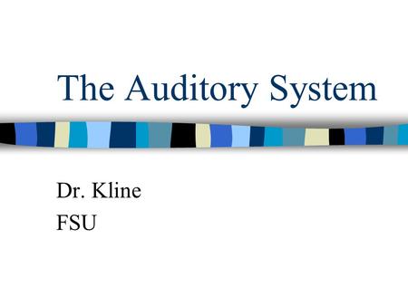 The Auditory System Dr. Kline FSU. What is the physical stimulus for audition? Sound- vibrations of the molecules in a medium like air. The hearing spectrum.