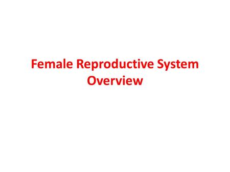 Female Reproductive System Overview. Ovaries Responsible for oogenesis: the production of female gametes (ova) Also responsible for the secretion of female.