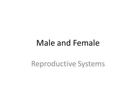 Male and Female Reproductive Systems.