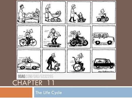 Chapter 11 The Life Cycle.