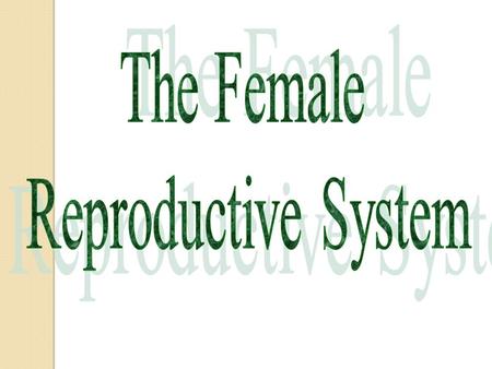 What is the purpose of the female reproductive system? Purpose? Making an egg Getting sperm and egg together Protecting and nurturing the growing embryo.