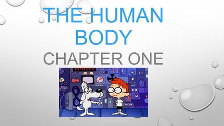 THE HUMAN BODY CHAPTER ONE. BODY ORGANIZATION CELL CELL MEMBRANE NUCLEUS CYTOPLASM TISSUE MUSCLE TISSUE NERVOUS TISSUE CONNECTIVE TISSUE EPITHELIAL TISSUE.