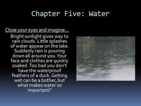Chapter Five: Water Close your eyes and imagine… Bright sunlight gives way to rain clouds. Little splashes of water appear on the lake. Suddenly rain is.