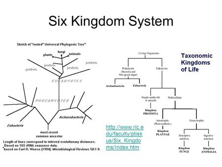 Six Kingdom System  du/faculty/ptisk us/Six_Kingdo ms/Index.htm.