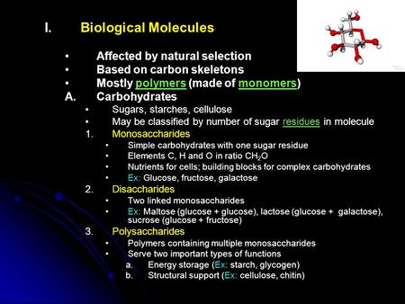 I. I.Biological Molecules Affected by natural selection Based on carbon skeletons Mostly polymers (made of monomers) A. A.Carbohydrates Sugars, starches,