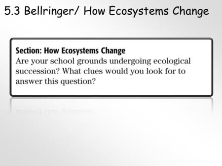 5.3 Bellringer/ How Ecosystems Change. Succession I. Succession-changes that take place in a community A.Primary succession A.Primary succession-colonization.