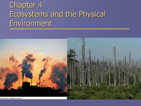 Chapter 4 Ecosystems and the Physical Environment