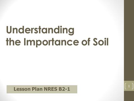 Understanding the Importance of Soil