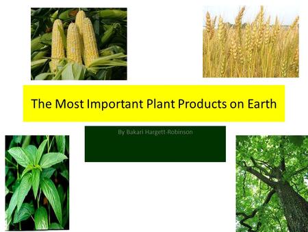 The Most Important Plant Products on Earth By Bakari Hargett-Robinson.