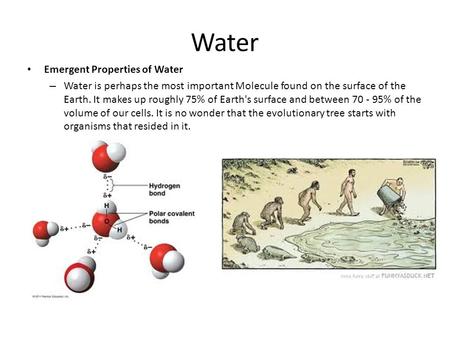 Water Emergent Properties of Water – Water is perhaps the most important Molecule found on the surface of the Earth. It makes up roughly 75% of Earth's.
