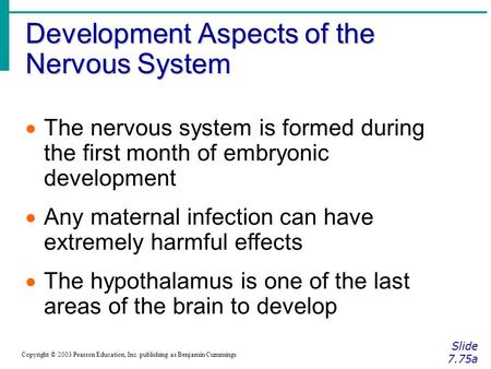 Development Aspects of the Nervous System Slide 7.75a Copyright © 2003 Pearson Education, Inc. publishing as Benjamin Cummings  The nervous system is.
