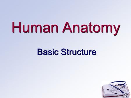 Human Anatomy Basic Structure.