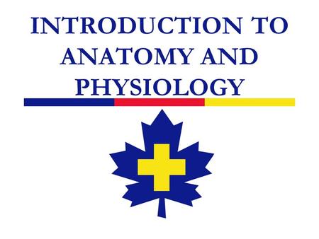 INTRODUCTION TO ANATOMY AND PHYSIOLOGY. 2 Introduction  Your responsibility is to assist an injured or sick person  A basic understanding of human anatomy.