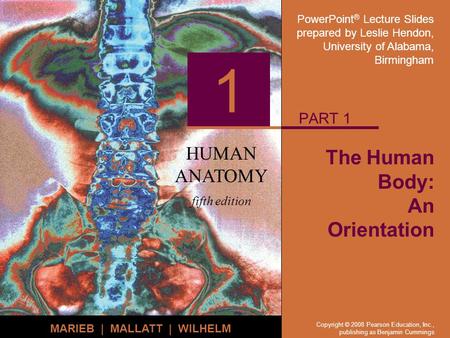 PowerPoint ® Lecture Slides prepared by Leslie Hendon, University of Alabama, Birmingham HUMAN ANATOMY fifth edition MARIEB | MALLATT | WILHELM 1 Copyright.