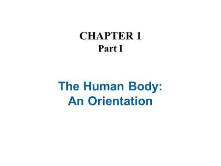 The Human Body: An Orientation CHAPTER 1 Part I. The Human Body—An Orientation Anatomy – Study of the structure and shape of the body and its parts Physiology.