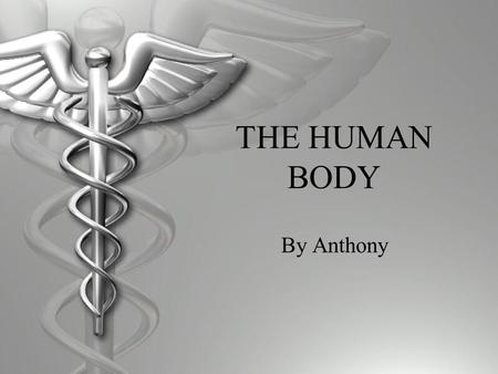 THE HUMAN BODY By Anthony. Digestive System  The digestive system helps flush out materials out of the body that could not be digested.