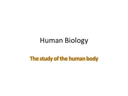 Human Biology. Bellringer What is the basic unit of structure and function in a living thing? Organize the following from smallest to largest: $1, 50¢,