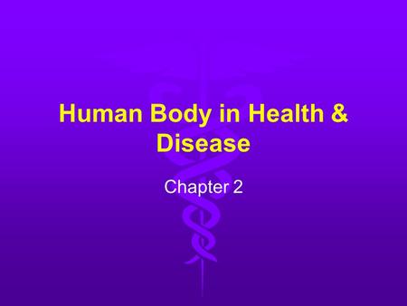 Human Body in Health & Disease Chapter 2. B RANCHES OF S CIENCE THAT S TUDY THE H UMAN B ODY.