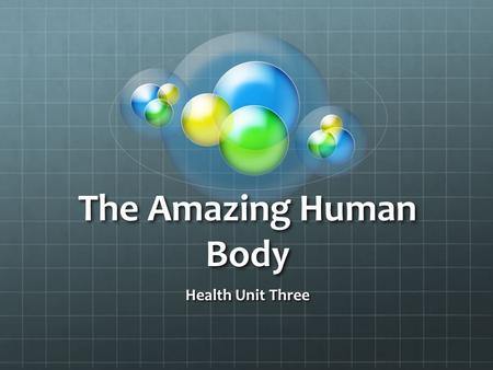 The Amazing Human Body Health Unit Three. The Body Systems Nervous System Circulatory System Respiratory System Skeletal System Muscular System Digestive.