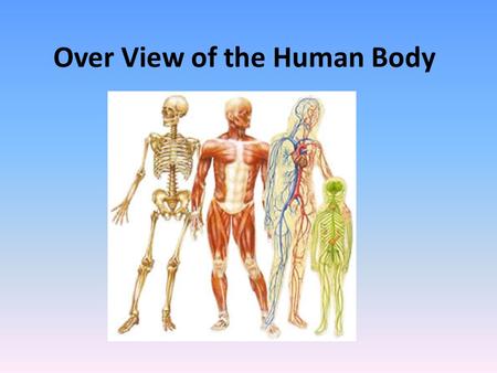 Over View of the Human Body