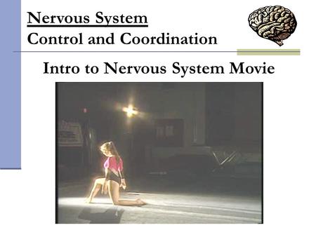 Nervous System Control and Coordination Intro to Nervous System Movie.
