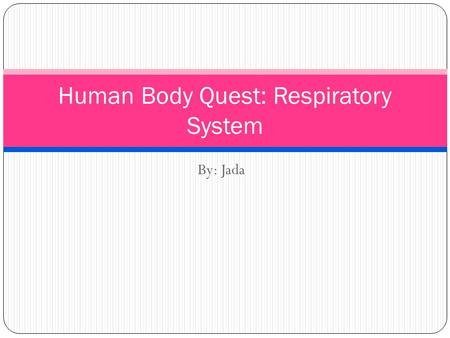 By: Jada Human Body Quest: Respiratory System. Respiratory System Breathing moves chest to bring air into and remove wastes from the lungs. Cellular respiration.