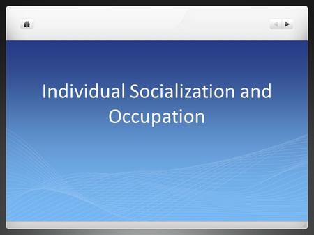 Individual Socialization and Occupation
