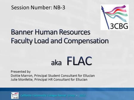 Banner Human Resources Faculty Load and Compensation aka FLAC