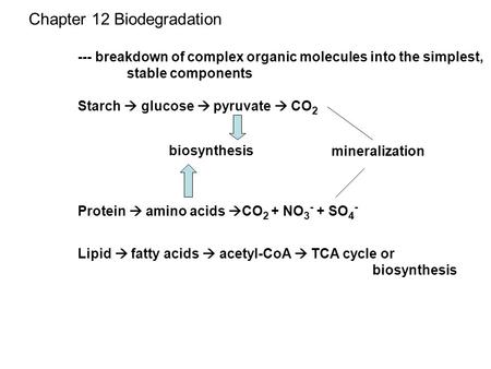 Chapter 12 Biodegradation --- breakdown of complex organic molecules into the simplest, stable components Starch  glucose  pyruvate  CO 2 Protein 