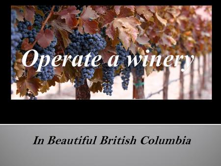 In Beautiful British Columbia. Winery Project With an minimum investment of $300,000 you can manage and own your own winery in the stunning Okanagan region.