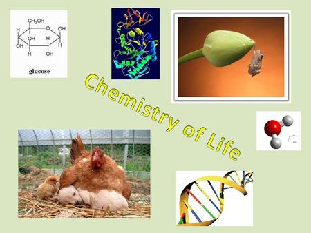 Chemistry of Life.