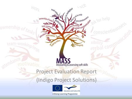 Project Evaluation Report (Indigo Project Solutions)