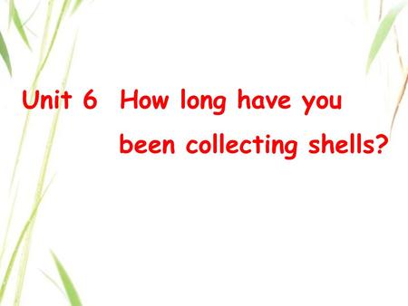 Unit 6 How long have you been collecting shells?