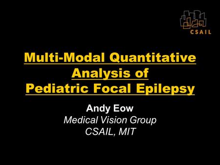 Multi-Modal Quantitative Analysis of Pediatric Focal Epilepsy Andy Eow Medical Vision Group CSAIL, MIT.
