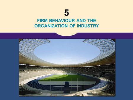 FIRM BEHAVIOUR AND THE ORGANIZATION OF INDUSTRY