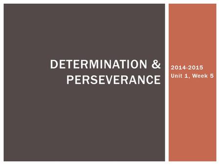 Determination & Perseverance