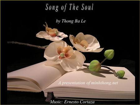 A presentation of minhthong.net Music: Ernesto Cortaza by Thong Ba Le.