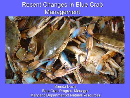 Image or Graphic Recent Changes in Blue Crab Management Brenda Davis Blue Crab Program Manager Maryland Department of Natural Resources.
